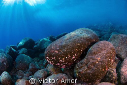 Stone and light by Victor Amor 